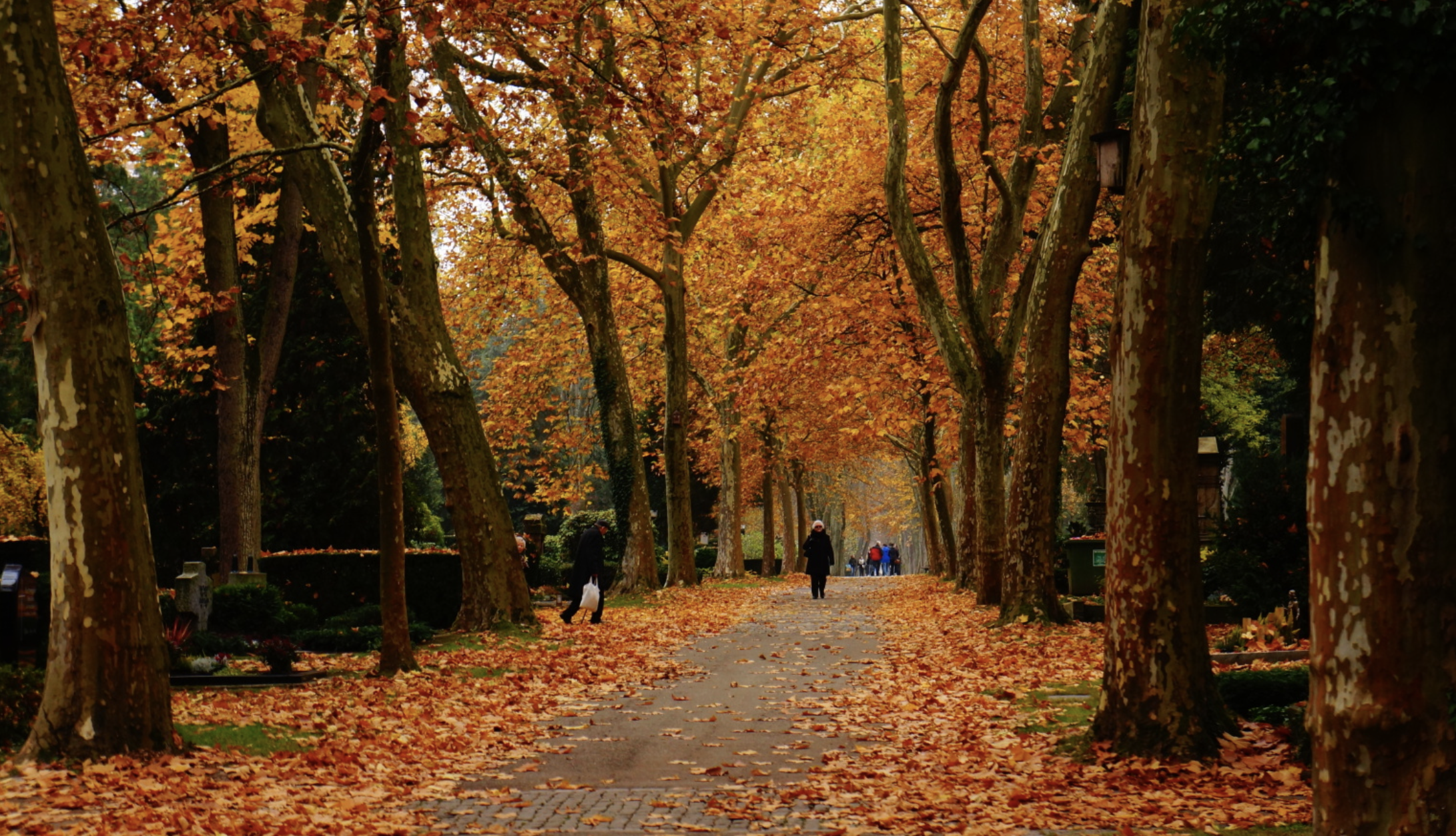 Hauptfriedhof Pforzheim im Herbst - Historischer Friedhof mit herbstlichen Farben